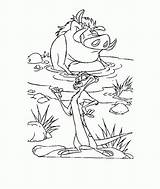 Timon Coloring Pumbaa Pages Colorear Para Pumba A2de Bath Take Lion King Printable Popular Coloringhome Library Clipart Comments sketch template