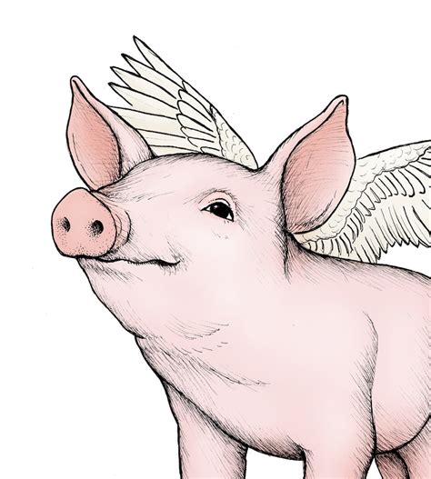 pig art print flying pig print cute magical animal  etsy