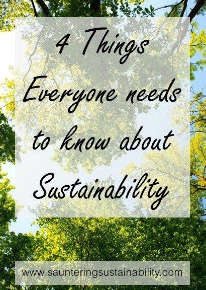 Four Things Everyone Should Know About Sustainbility – Sauntering