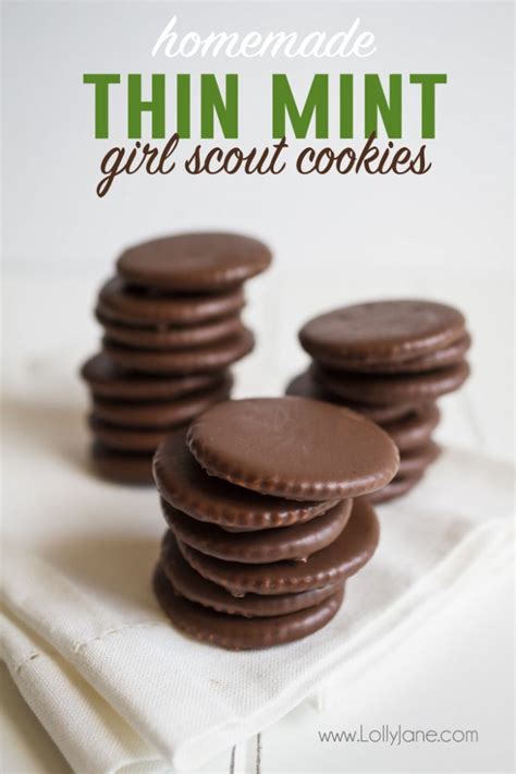 homemade thin mint girl scout cookies
