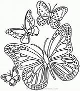 Papillon Coloriage Colorat Fluturi Planse Imprimer Mariposa Desenat Mariposas Mandalas Rosace Fisa Silueta sketch template