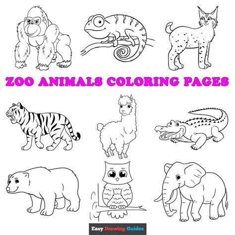 printable zoo animals coloring pages  kids
