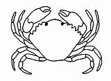 Crostacei Crustaces Animales Lobster Homard Imprimer Coloriages Langosta Animaux Stampare Crustáceos Gifgratis Coloratutto Codes Prend sketch template