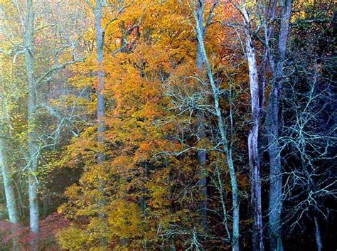 autumn  images public domain images