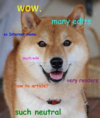 doge meme wikipedia