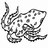 Coloring Octopus Angry Book Ocean Advertisement Coloringpagebook sketch template