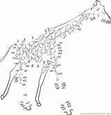 Dot Dots Connect Giraffe Animal Big Animals Kids Worksheet Worksheets Connectthedots101 Printables Printable Email Tracing sketch template