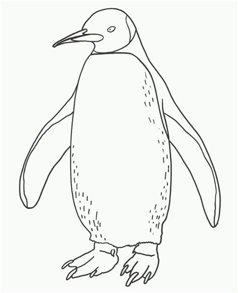 penguin coloring pages getcoloringpagescom