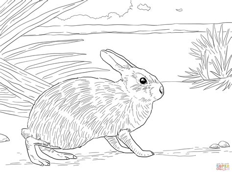 rabbit coloring pages  adults  getdrawings