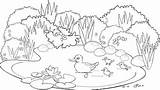 Staw Ecosistema Terrestre Preschool Kolorowanka Designlooter Wiosenny Ecosistemas Maluchy Kolorowanki Ecosystem Wiosna Drukuj sketch template