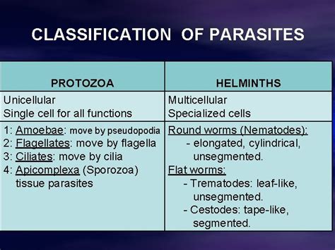 Intestinal Protozoa Classification Of Parasites Protozoa Helminths