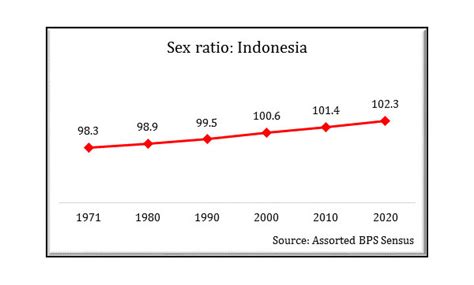 Indonesias 2020 Census A First Glimpse