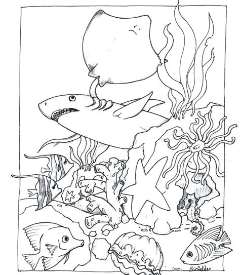 nice collection  habitat coloring pages sea world coloring