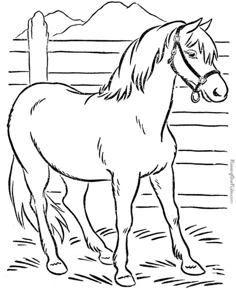 animal coloring page  horse  print