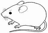 Mouse Coloring Animal Color Pages Kids Colour Mice Printable Drawings Deviantart Choose Board sketch template