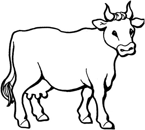 coloring pages animal place