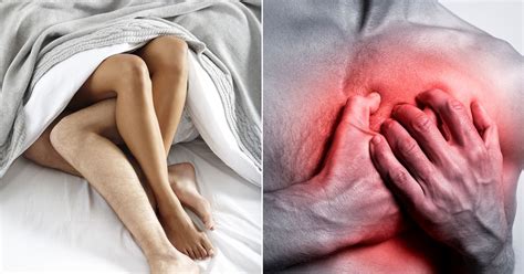 having sex does not increase the risk of a heart attack claim scientists mirror online