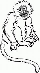Spider Monkey Coloring Pages Man Cartoon Printable Iron Getcolorings Angelou Maya Drawing Pencil Getdrawings Print Awesome sketch template