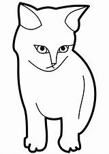 Cat Outline Coloring Kitten Clipart Pages Printable Face Template Drawing Sitting Clip Kitty Kids Nose Cliparts Coloring4free Color Easy Simple sketch template
