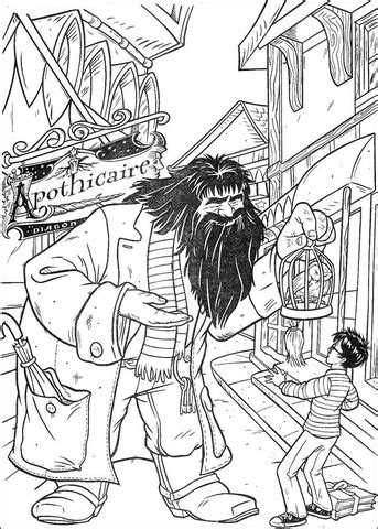 hagrid offers parrot  harry potter coloring page  printable