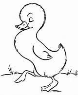 Coloring Duck Easter Pages Baby Cute Chick Chicks Little Animals Animal Printable Farm Cartoon Drawing Duckling sketch template