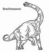 Brachiosaurus Coloring Pages Dinosaur Drawing Kids Printable Getdrawings sketch template