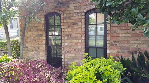 prestonwood marvin bronze traditional exterior dallas  affordable replacement window