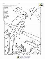 Sheets Number Parrot Color Coloring Math Preschool Red Bird Rumped sketch template