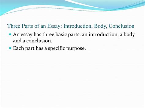 essay  parts    introduction body conclusion