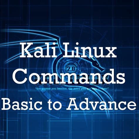 Kali Linux Commands List Basic To Advanced With Examples