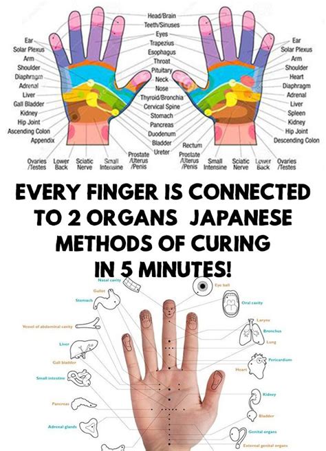 every finger is connected to 2 organs japanese methods of curing in 5