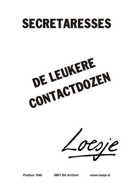 pin op loesje