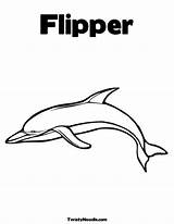 Dolphins Flipper sketch template