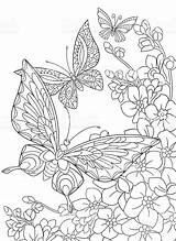Schmetterling Blume Stylized sketch template