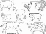 Farm Animals Label Labels List Enchantedlearning Word Below Using Subjects sketch template