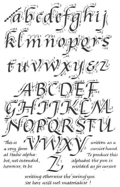 pin  lutgart forceville  western calligraphy lettering lettering