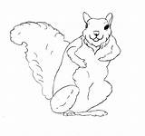 Squirrel Coloring Pages Flying Print Kids Printable Color Preschool Animal Monkey Animals Bestcoloringpagesforkids Library Clipart Fox sketch template