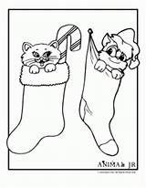 Christmas Coloring Kittens Pages Stockings sketch template