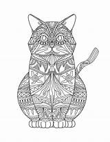 Coloring Pages Cat Adults Adult Mandala Cats Mandalas Drawings Books Colouring Blank Book Animal Visit Svg Choose Board Template sketch template