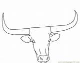 Cow Coloring Longhorn Pages Texas Drawing Head Printable Steer Cattle Color Face Clipart Bull Outline Cartoon Horns Drawings Long Draw sketch template