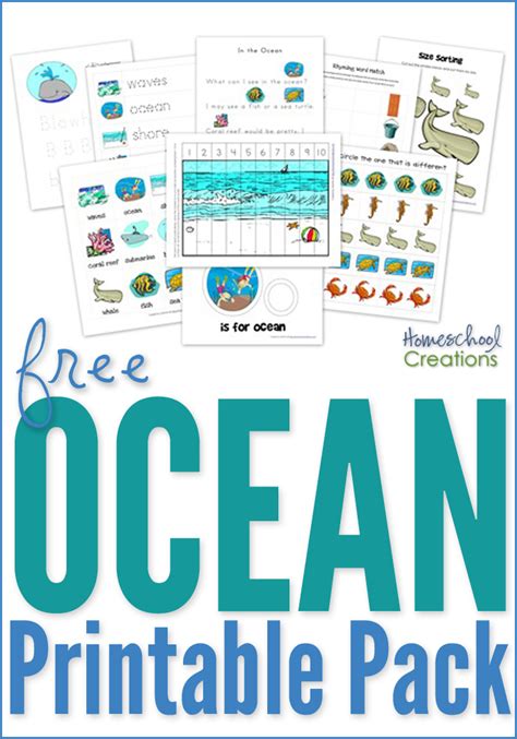 ocean worksheets  preschool   sea animal color  number