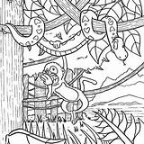 Rainforest Coloring Printable Pages Amazon Getcolorings Getdrawings Color sketch template