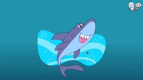 learn  sharks sharks sharks facts lesson  kids youtube