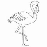 Flamingo Coloring Pages American Cartoon Drawing Pink Toddlers Book Designlooter Getdrawings 230px 51kb sketch template