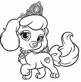 Palace Pets Coloring Pages Disney Printable Color Sketch Drawings sketch template