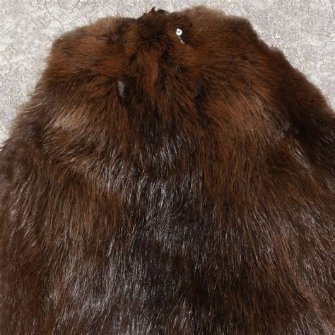 eurasian beaver tanned fur pelt  sale hide skin castor st
