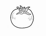 Pomodoro Ecologico Acolore sketch template