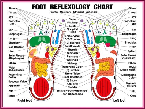 ultimate  care hidden gem foot reflexology experience  lehua spa