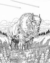 Coloring Buffalo Pages Indian American Native Realistic Adult Animal Bison Designs Drawings Drawing Sketches Books Printable Adults Indians Mandala Patterns sketch template