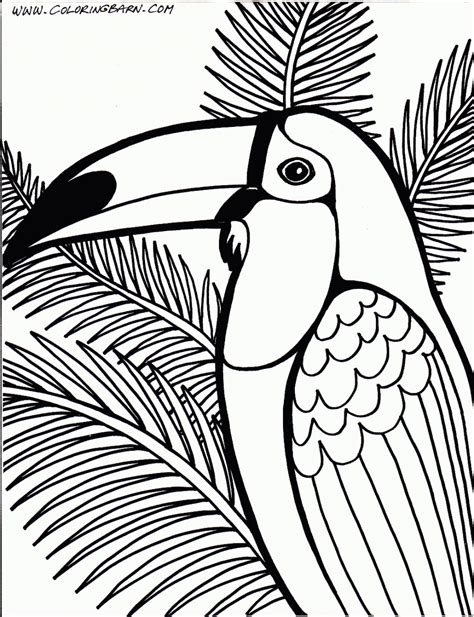 rainforest trees coloring page rainforest trees colouring pages